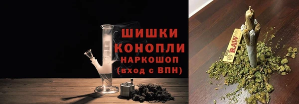 индика Богданович