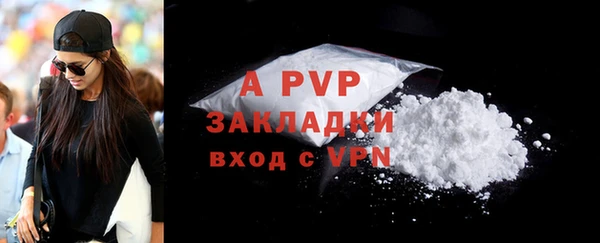 индика Богданович