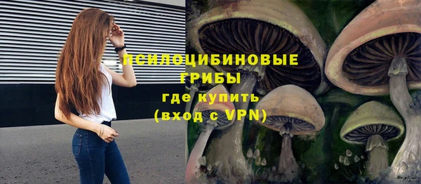 ПСИЛОЦИБИНОВЫЕ ГРИБЫ Богородицк