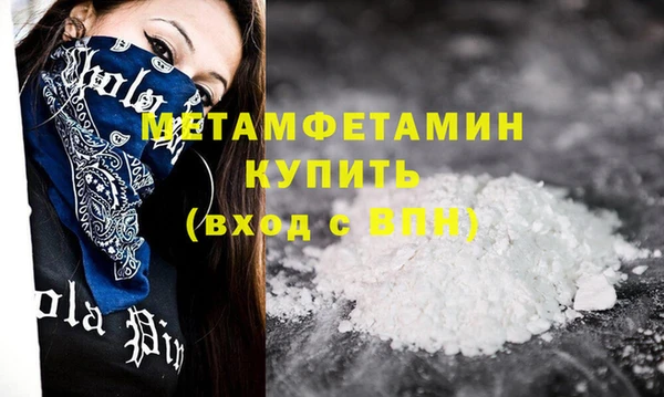 индика Богданович