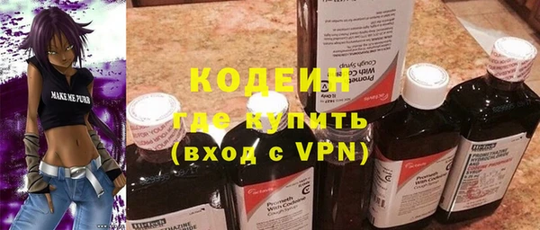 индика Богданович