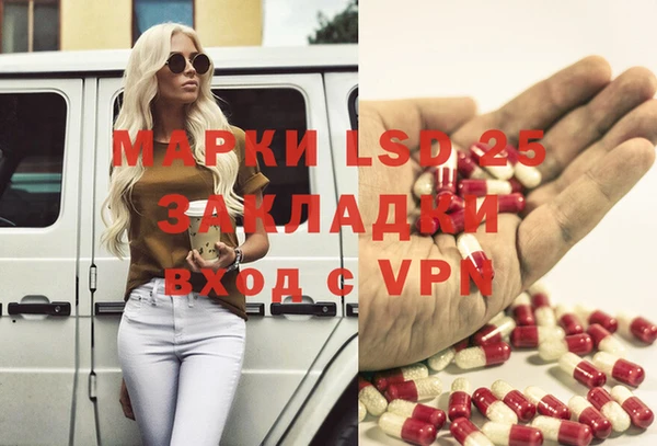 индика Богданович