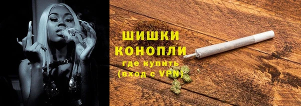 прущие грибы Белокуриха