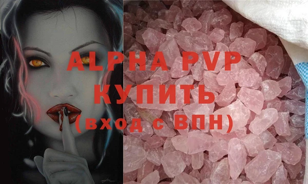 индика Богданович