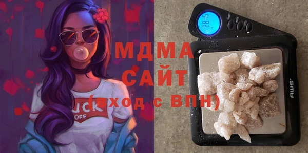индика Богданович