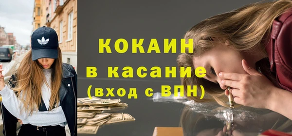 индика Богданович