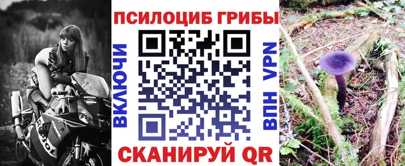 Псилоцибиновые грибы ЛСД дарк нет состав Михайлов